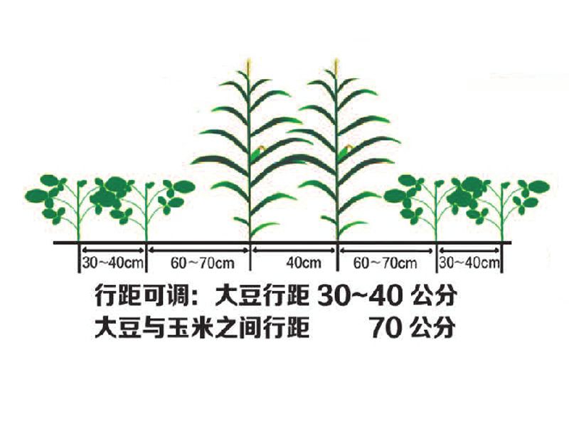 2BDYF-2-2-2型大豆玉米帶狀復(fù)合播種機